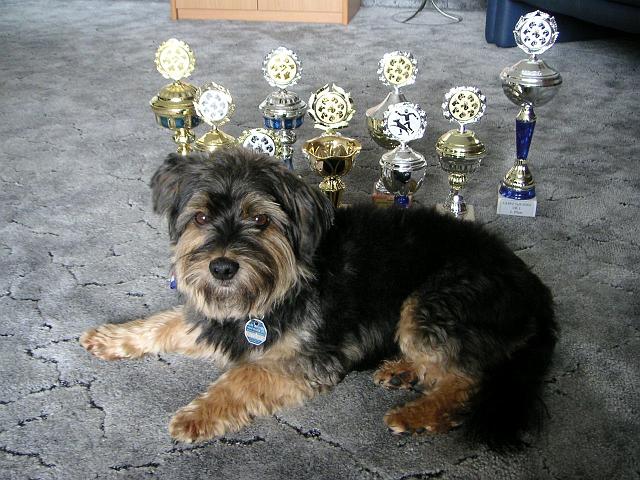 Bild 034.jpg